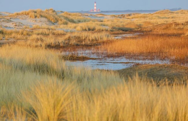 Apartement in Top Lage - Foto 30