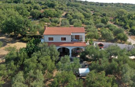 Olive garden Platinum, Posedarje - Photo 37