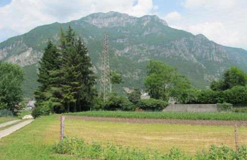 La Piccola Fattoria - Foto 9