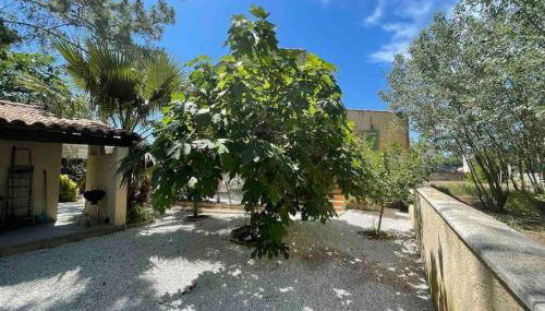 Marseillan Plage studio indépendant - Foto 3