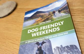 The Branwell Country Inn - Foto 39