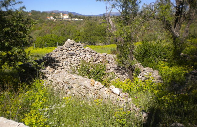 Arcadian Stone House For You - Photo 33