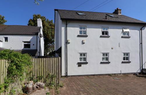 The Stocks - Foto 17