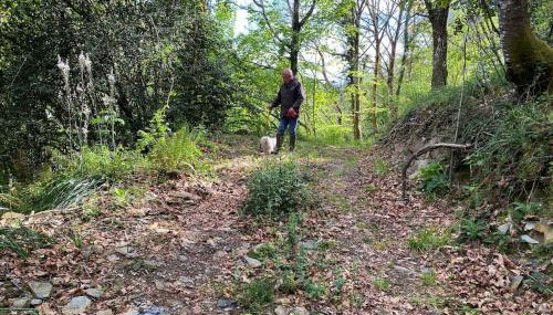 Apartamentos Rurales Ca Lulón - Foto 3