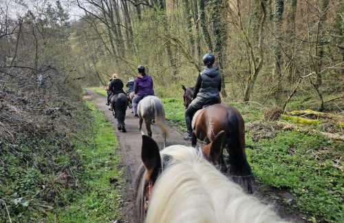 Hof zur Nette -Stilvoller Rückzugsort im Herzen des Maifelds - Foto 32