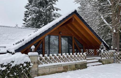 Auszeit im Wald - mit Schwimmbad! - Foto 1