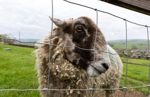 The Croft Holiday Cottage - AA Accredited, Country Cottage - Foto 76