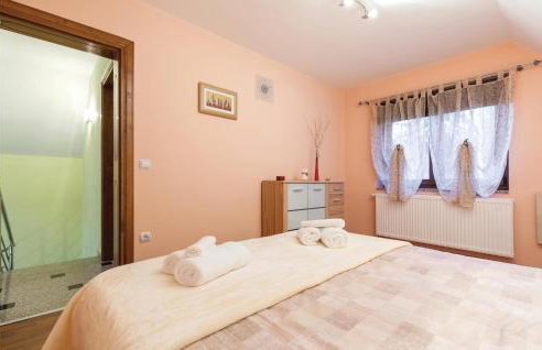 Cozy Home In Brestovac With Sauna - Foto 29