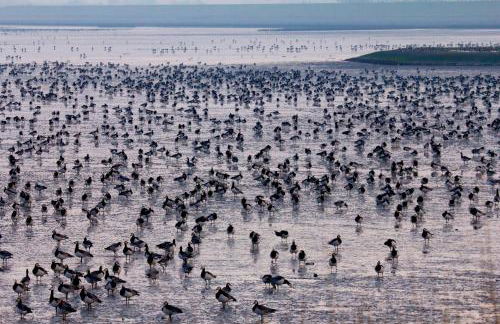 Haus Horizont - Foto 52