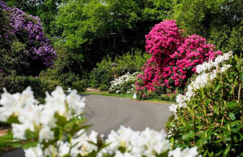 Gorgeous English Country Barn - Foto 7