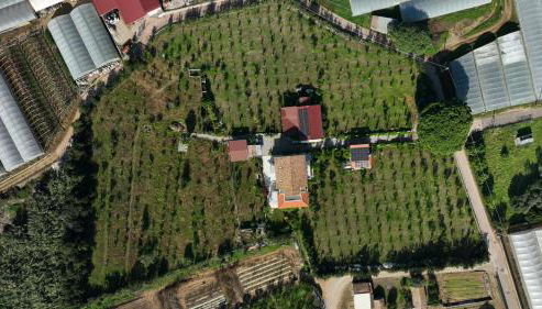 CàSolare Country House - Foto 4, Garden view