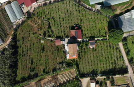 CàSolare Country House - Foto 4