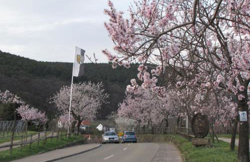 Haus Biengarten - Foto 2