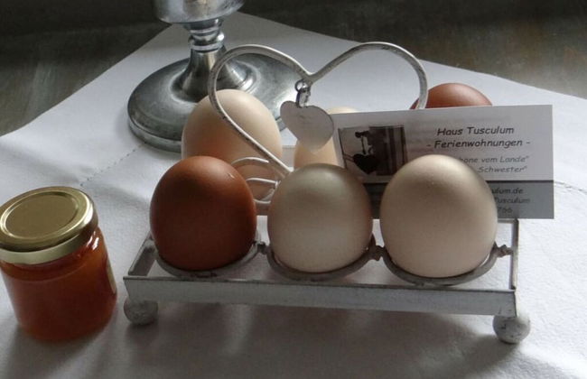 Apartment in Lower Saxony - Foto 9