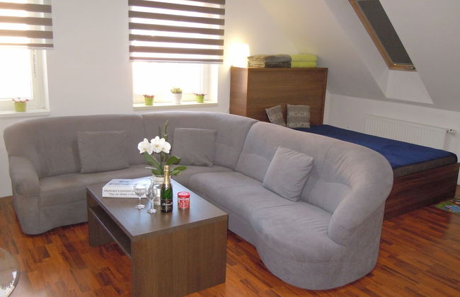 Apartmany Vlčková - Photo 30