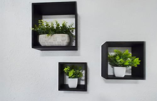 OSU Pet Perfect in PNW - Foto 19