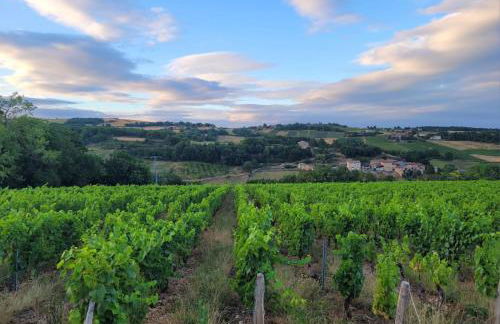 Beaujolais - Maison pierres dorées - Foto 45