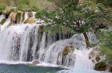 Gold Apartments - Photo 26