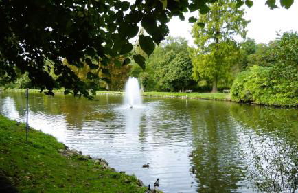 ZM 22, King Room doubleBed - Foto 17