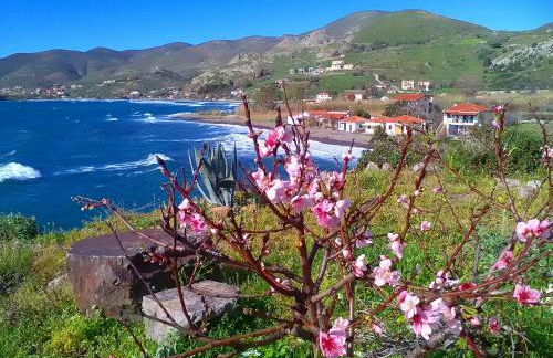 Enalion House - Photo 32