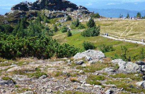 Ferienwohnungen Anneliese&Fritz Wagerer - Photo 35