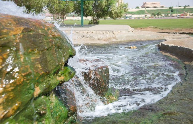 Green Mubazzarah Chalets - Photo 26