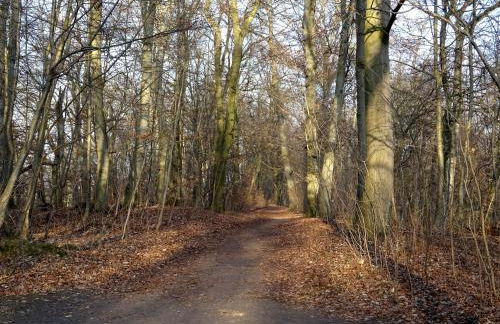 Ferienwohnung Neubrandenburg-Broda - Ruhe und mehr - Foto 27