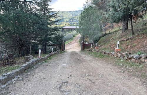 Casa para fiestas 16 personas, barbacoa y terraza - Photo 51