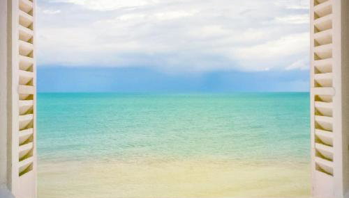 La BALEINE BLEUE - Foto 3