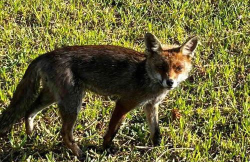 Tuscany country house, Poggio Vitale - Foto 77