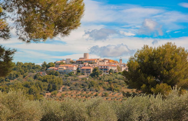 Sous les platanes - Foto 38