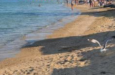 Heracles Guest house - Foto 24