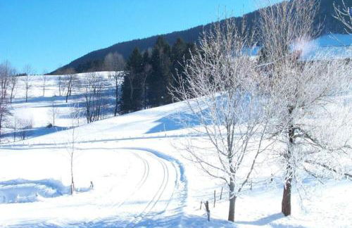 Ferienwohnung AllgäuGlück im Ferienpark Oberallgäu mit Hallenbad, Sauna, WLAN - Foto 25