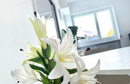 Luxury apartment with view (1min from lake/center) - Foto 16