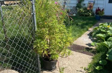 Little house in the alley - Foto 25