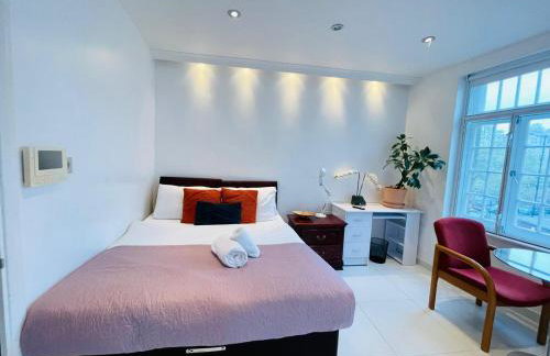 Smithfield St Paul Farringdon Central London Apartment - Foto 72