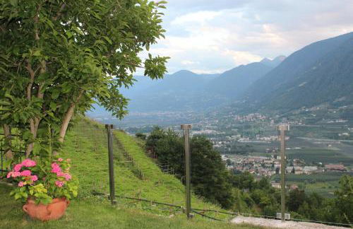 Villa Falkner - Foto 15