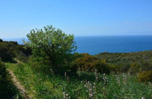 Casale Dionisia, Santa Maria di Castellabate - Foto 69