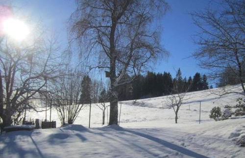 Apartment in Dachsberg-urberg - Foto 38