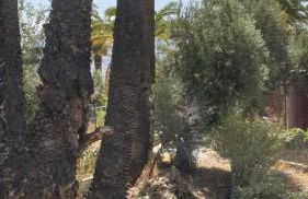 Casa Ansite - Foto 17