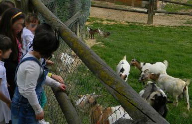 Azienda Agrituristica Colle San Giorgio - Foto 47