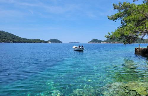 Dragovoda bay - Foto 29