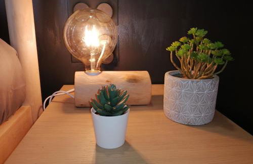 Appart Cosy Brest (Les 4 moulins) - Photo 36