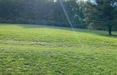 Home in the Heart of W.V. Adventure Country! - Photo 44