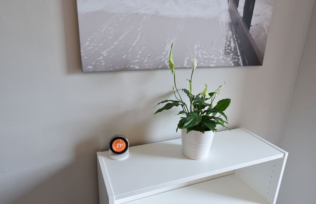 First - Meadowbank House Apartment - Foto 8