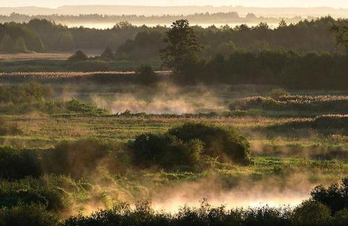 Skrzydła Biebrzy- Eco Cottage nad rzeką Narwią - Biebrza NP - Foto 27