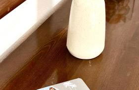 Viki Studios - Foto 38