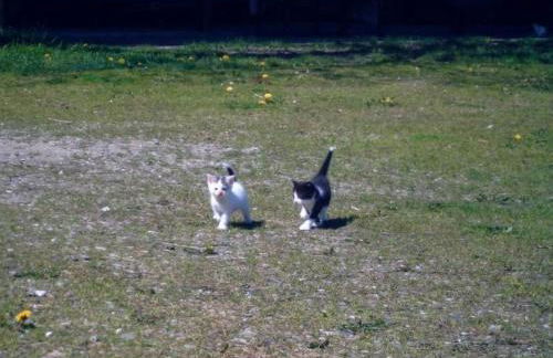 Holiday Home mit Meerblick - direkt an der Ostsee by Interhome - Foto 14