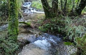 Casa do Bidueiro - Foto 58