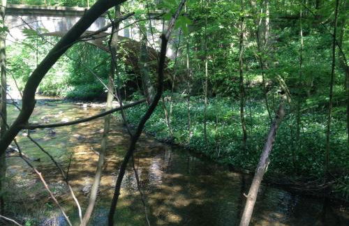 Ferienwohnung Eldorstal 2 - Urlaub mit Hund in Bad Harzburg - Foto 20